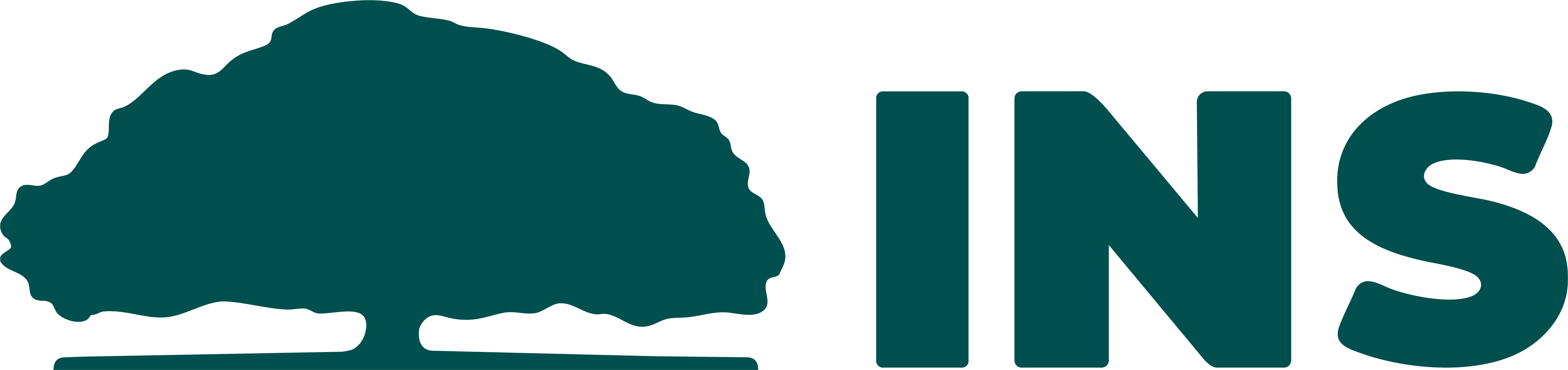 Logo INS